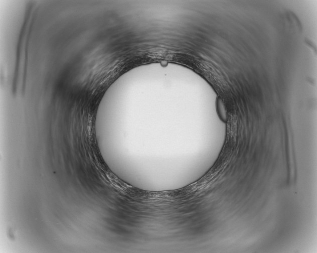 X0000094201154200710260906