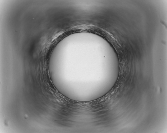 X0000094201158200710260906