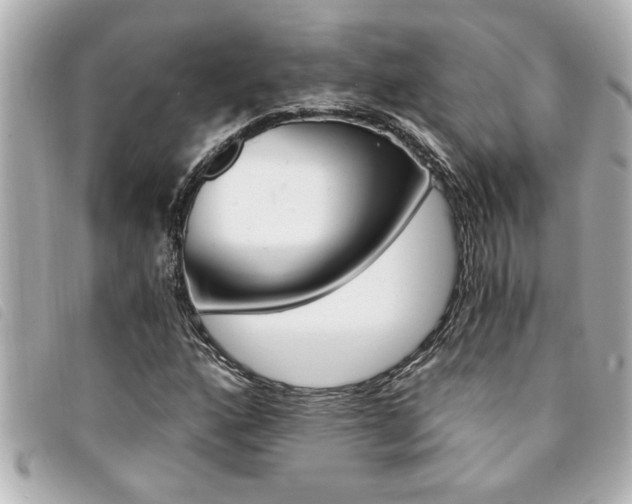 X0000094201160200710260906
