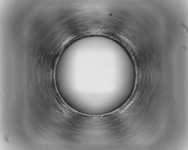 X0000094201161200710260906