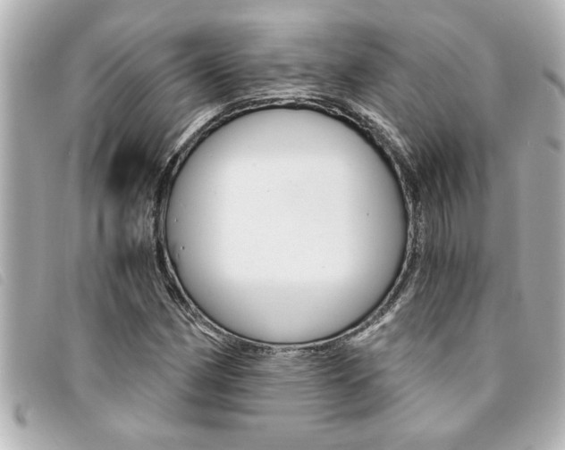 X0000094201162200710260906