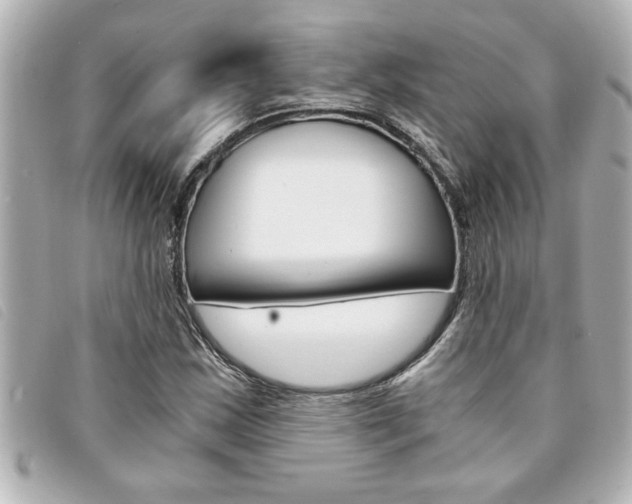 X0000094201163200710260906