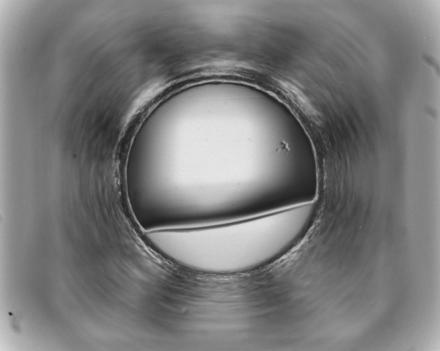 X0000094201164200710260906