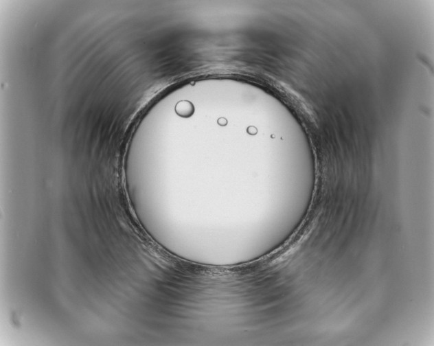 X0000094201170200710260906