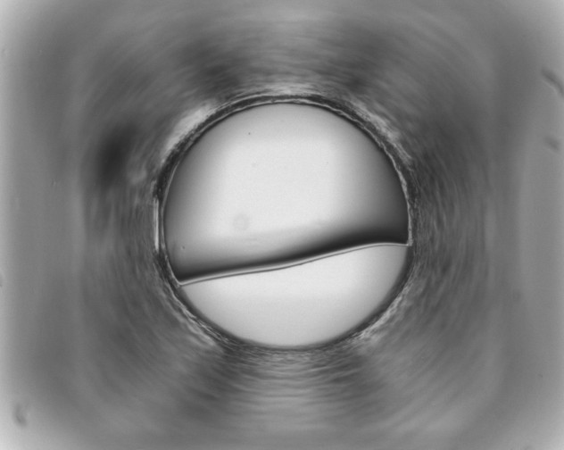 X0000094201171200710260906