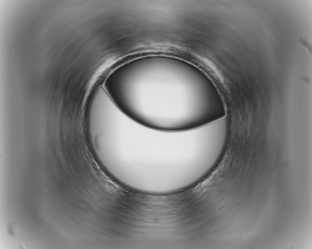 X0000094201172200710260906