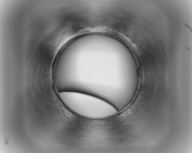 X0000094201174200710260906