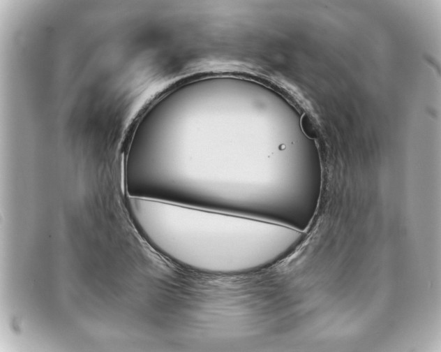 X0000094201175200710260906