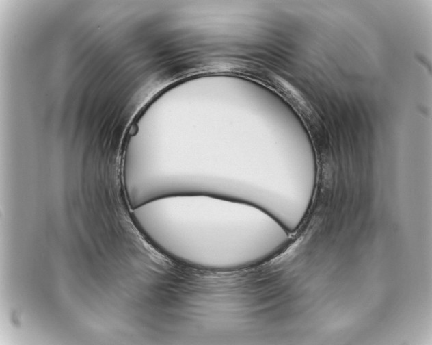 X0000094201178200710260906
