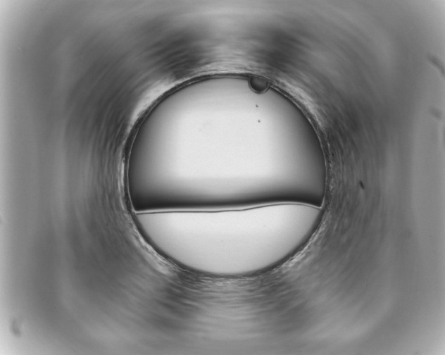 X0000094201179200710260906