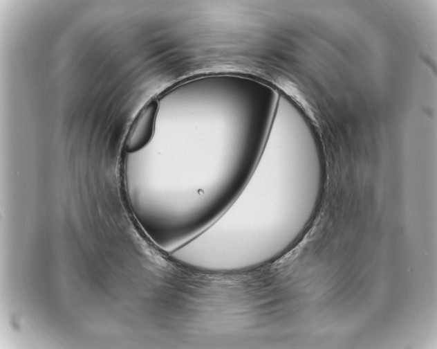 X0000094201181200710260906