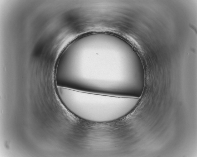 X0000094201183200710260906
