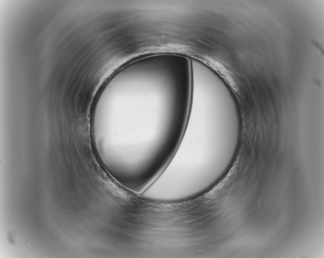 X0000094201184200710260906