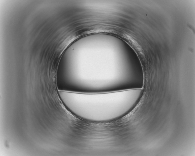 X0000094201185200710260906