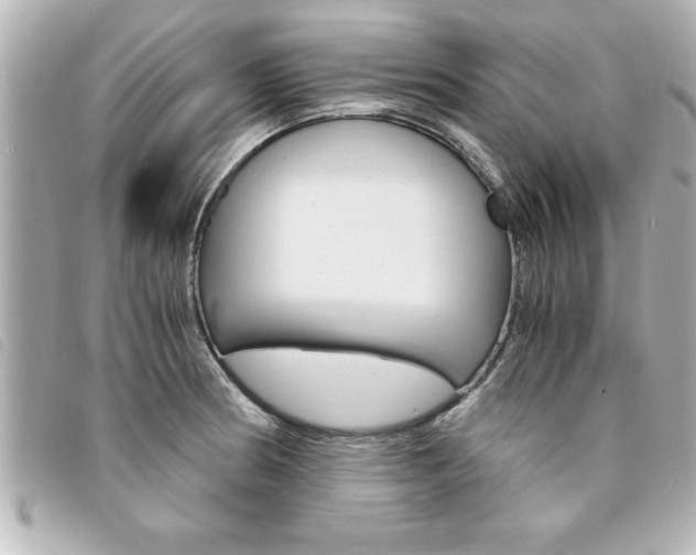X0000094201186200710260906