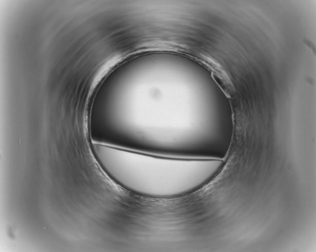 X0000094201188200710260906