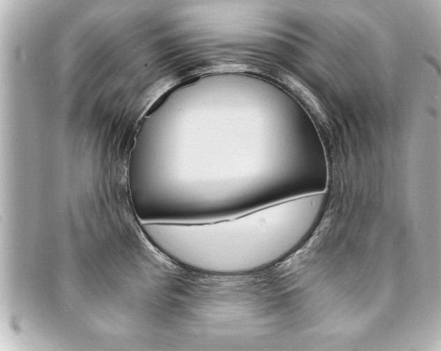 X0000094201193200710260906