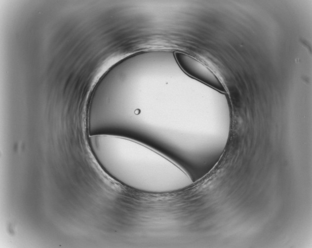 X0000094201195200710260906