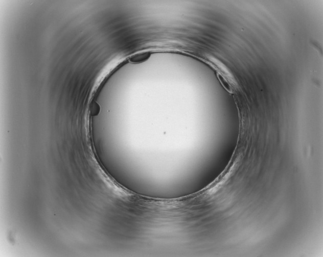 X0000094201196200710260906