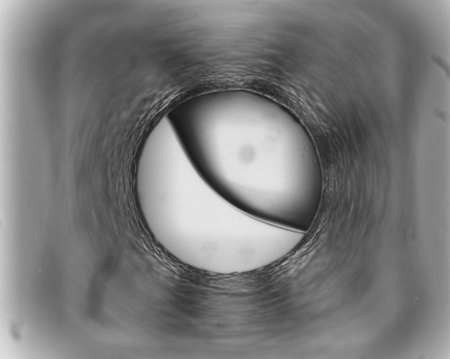 X0000094201201200710260905