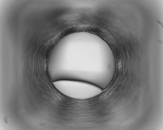 X0000094201204200710260905