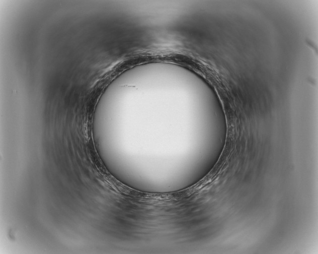 X0000094201205200710260905