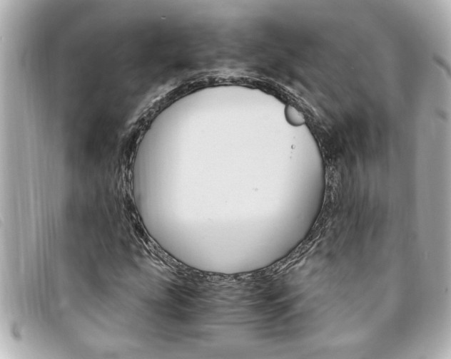 X0000094201207200710260905