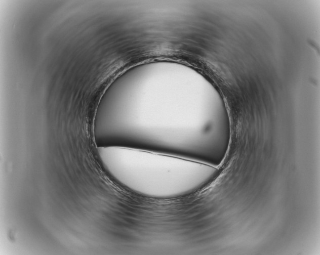 X0000094201209200710260905