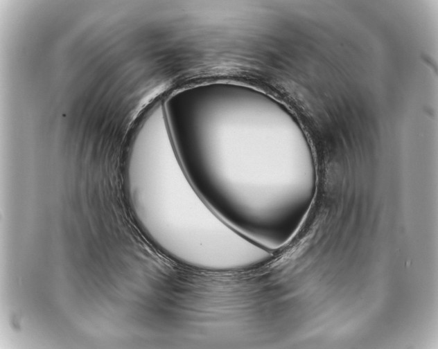 X0000094201210200710260905