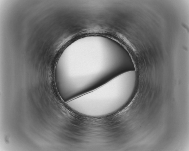 X0000094201213200710260905
