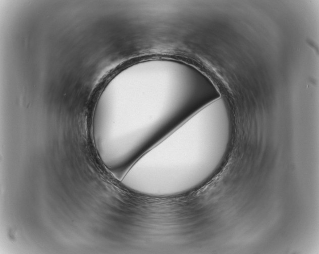 X0000094201214200710260905
