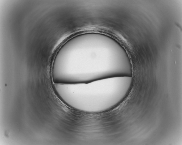 X0000094201216200710260905