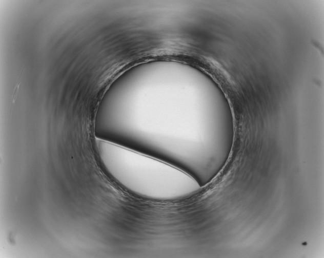 X0000094201217200710260905