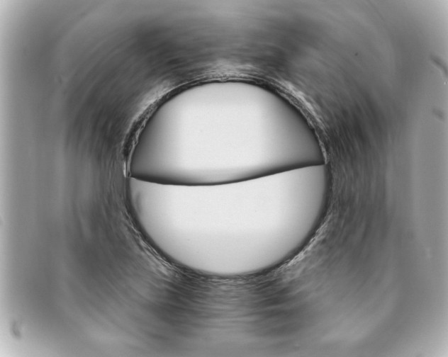 X0000094201219200710260905