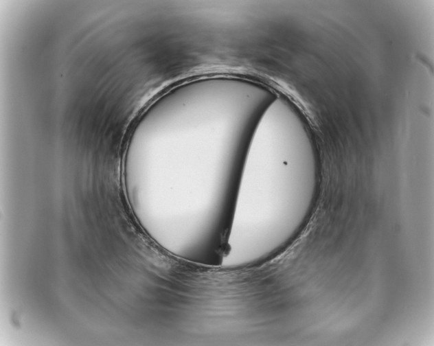 X0000094201220200710260905