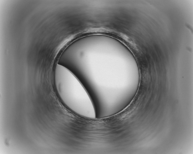 X0000094201221200710260905