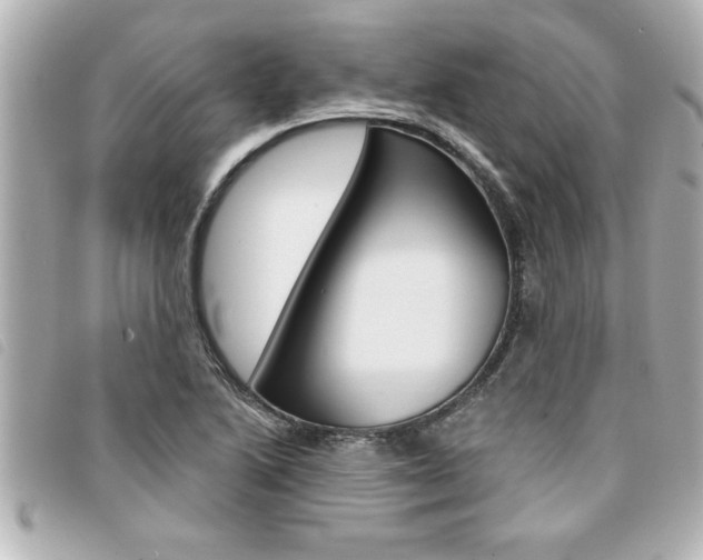 X0000094201222200710260905