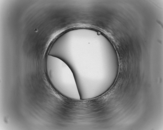 X0000094201223200710260905