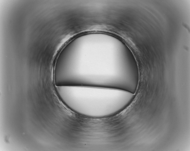 X0000094201224200710260905