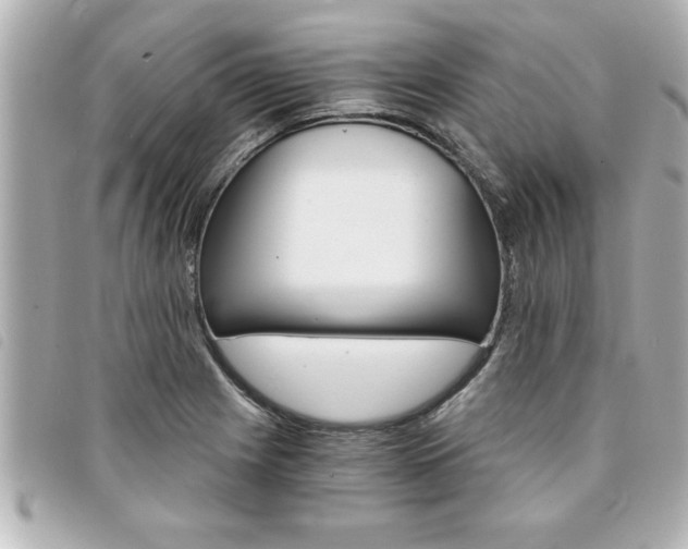 X0000094201225200710260905