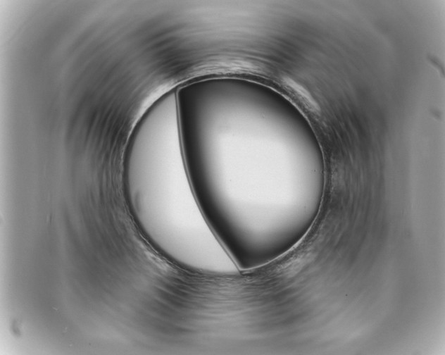 X0000094201226200710260905
