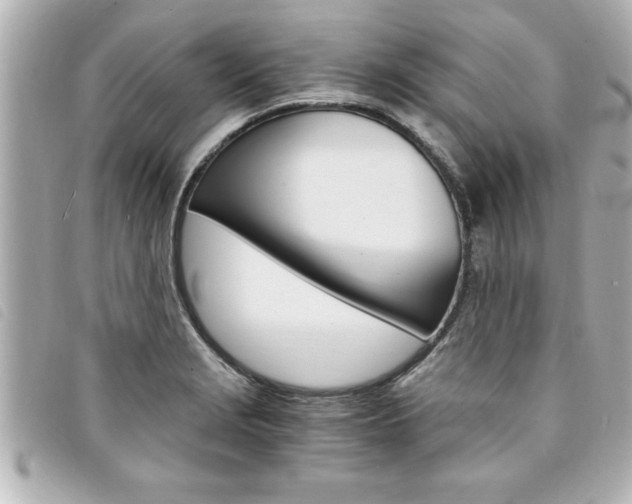 X0000094201229200710260905
