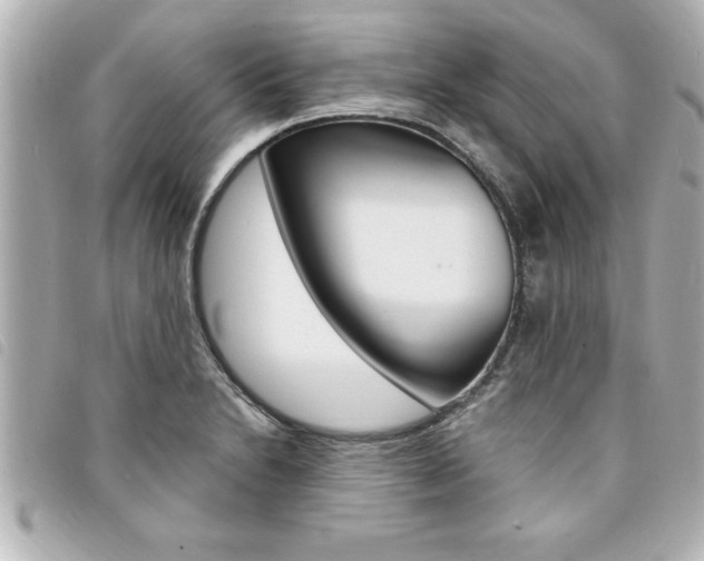 X0000094201230200710260905