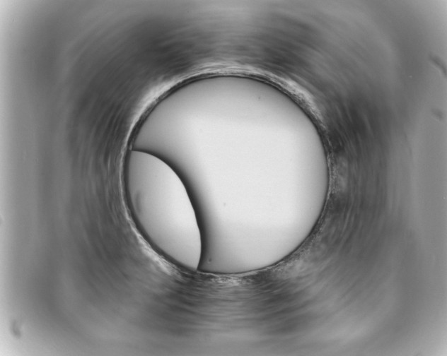 X0000094201231200710260905