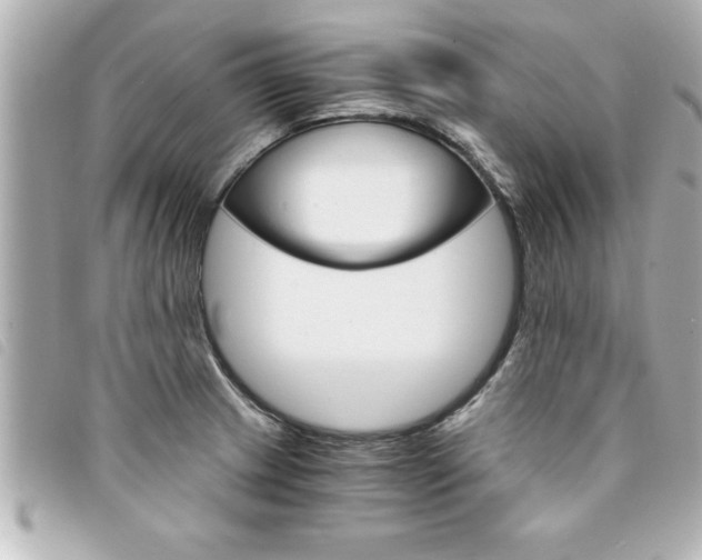 X0000094201233200710260905