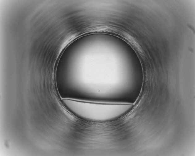 X0000094201234200710260905