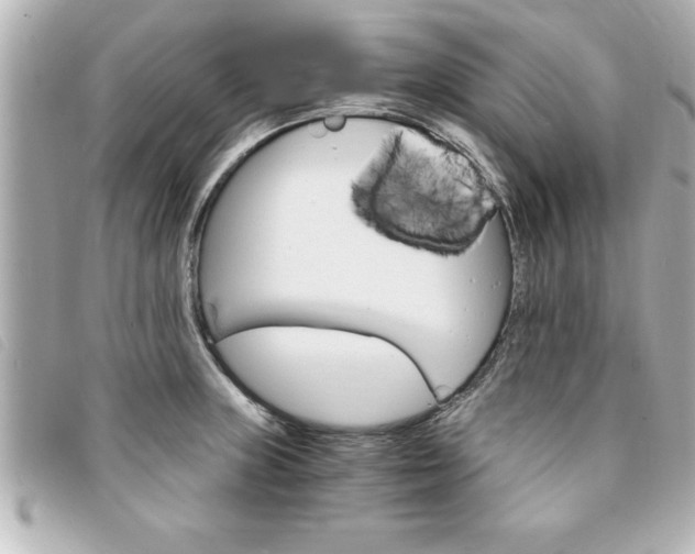 X0000094201235200710260905