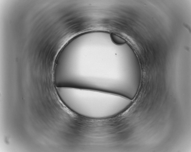 X0000094201236200710260905