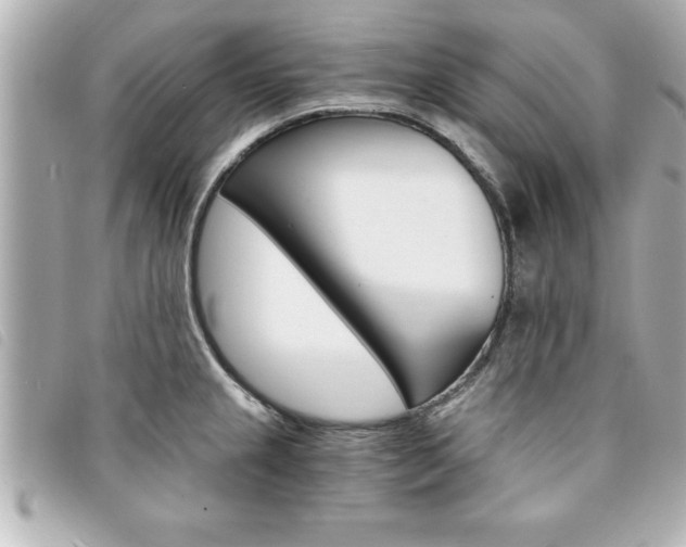 X0000094201237200710260905
