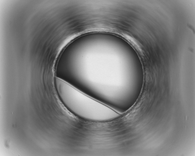 X0000094201238200710260905